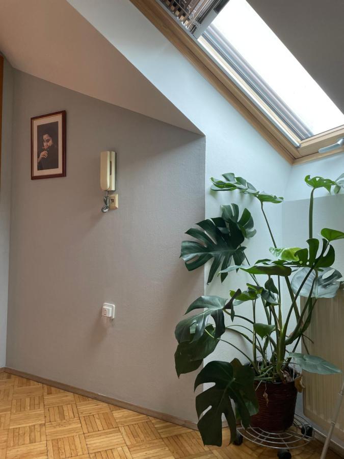Grazer Schwalbe Apartment Bagian luar foto